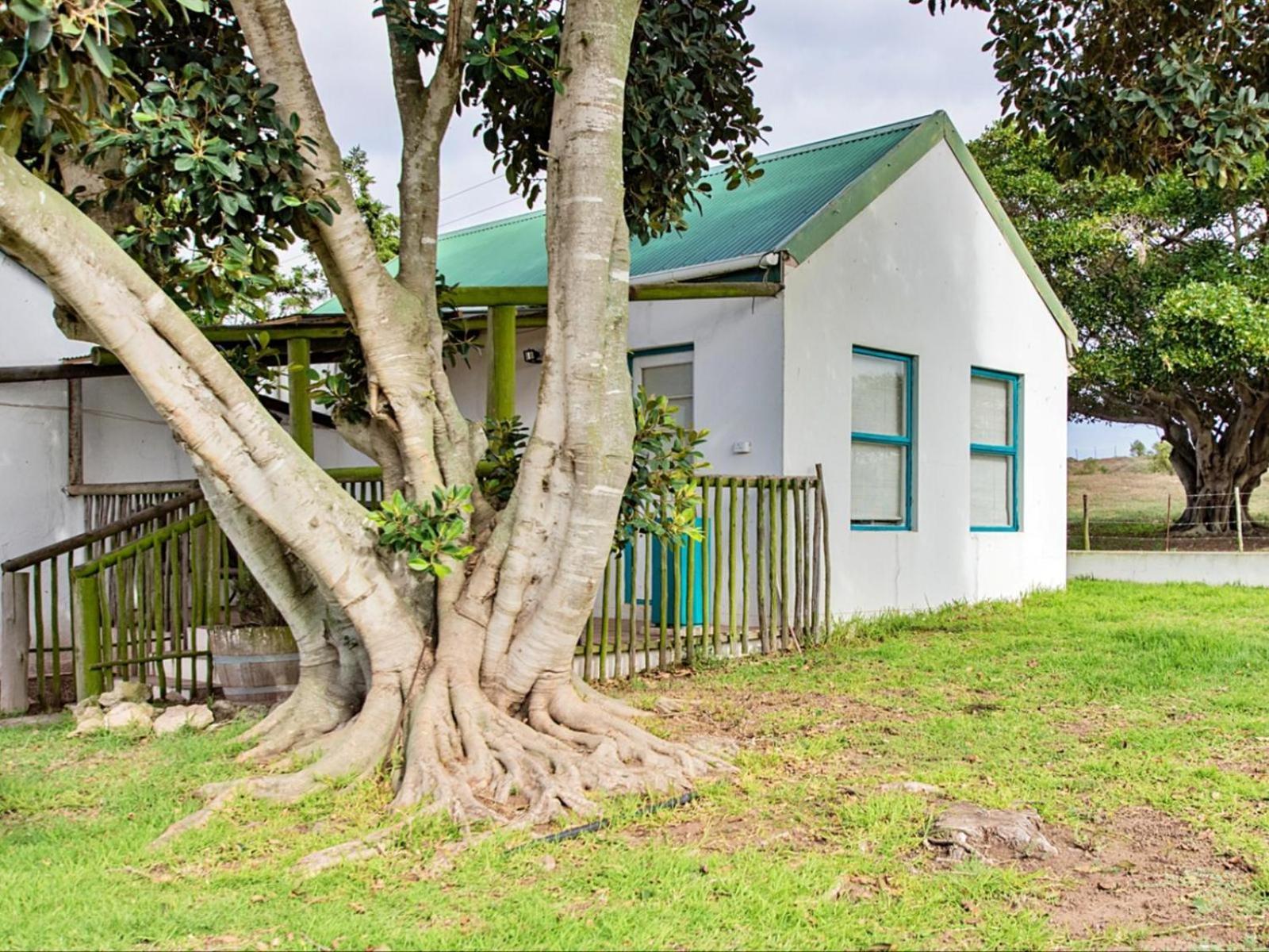 Wiggins Self Catering Daire Jacobs Bay Dış mekan fotoğraf