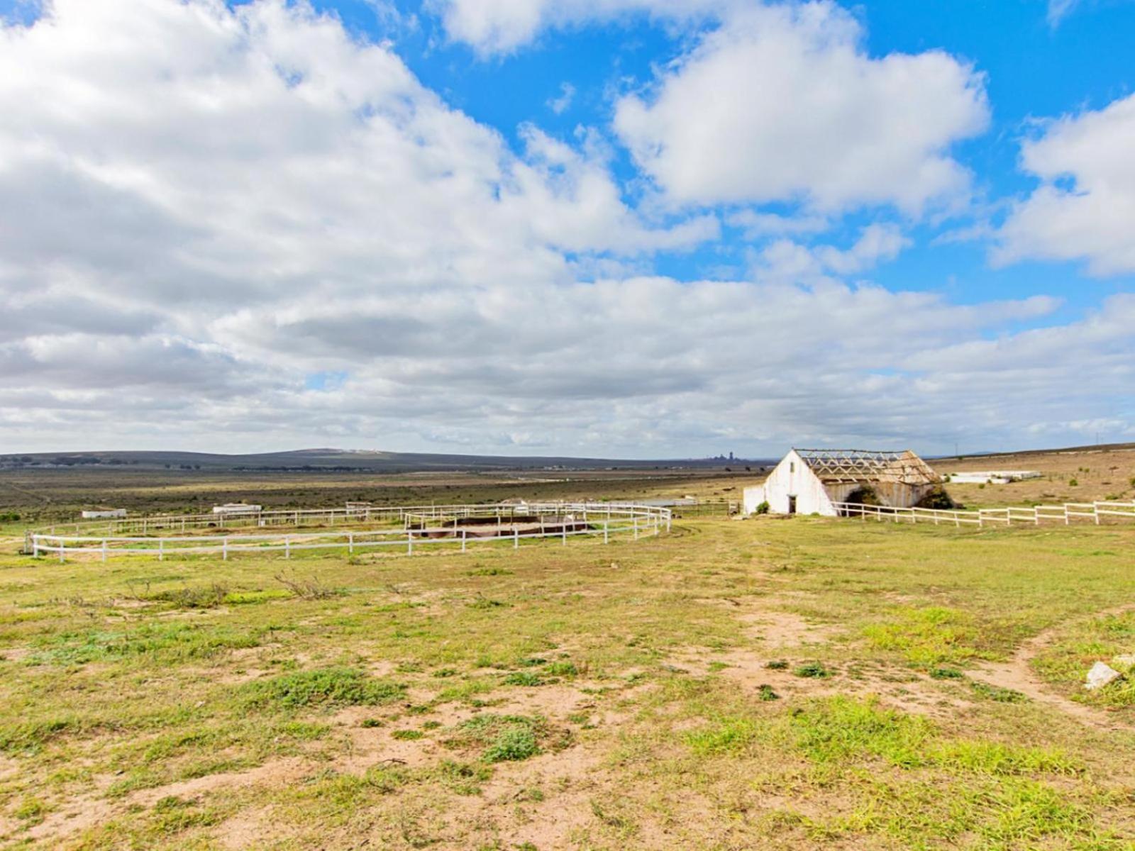 Wiggins Self Catering Daire Jacobs Bay Dış mekan fotoğraf